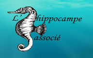 logo de l'association L'Hippocampe associ 