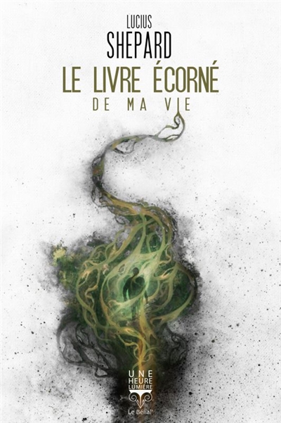 plus d'info sur cette photo